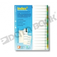 DataBank VID-31 彩色透明分類索引 (1-31)