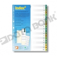 DataBank VID-20 彩色透明分類索引 (1-20)