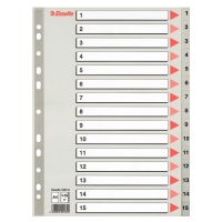 ESSELTE 100131 A4 (1-15) 膠質分類索引