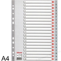 ESSELTE 100107 A4 (1-20) 膠質分類索引