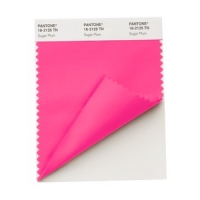 PANTONE SWCDTN nylon brights swatch card
