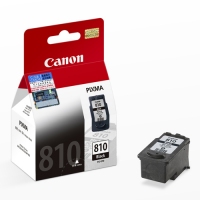 Canon PG-810 Ink Black