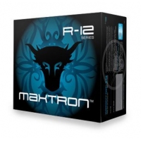 勁量牛 Maxtron 420R-12 電源裝置