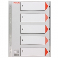ESSELTE 100103 A4 (1-5) 膠質分類索引