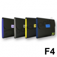 DataBank LFC-12 草蓆紋風琴袋 F4