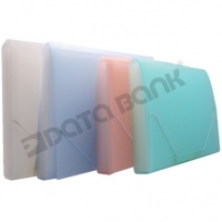 Data Bank CA4/12 磨砂透明彩 12格風琴袋 A4