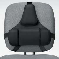 FELLOWES FW 8041901 專業護理背墊 可冷熱敷